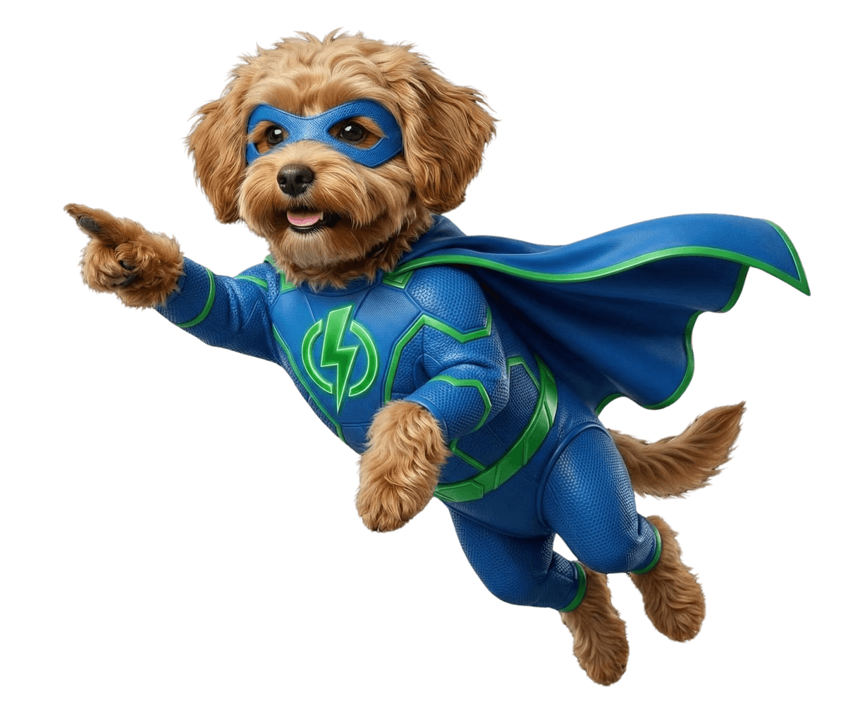 Super Switch, dein Energie Held